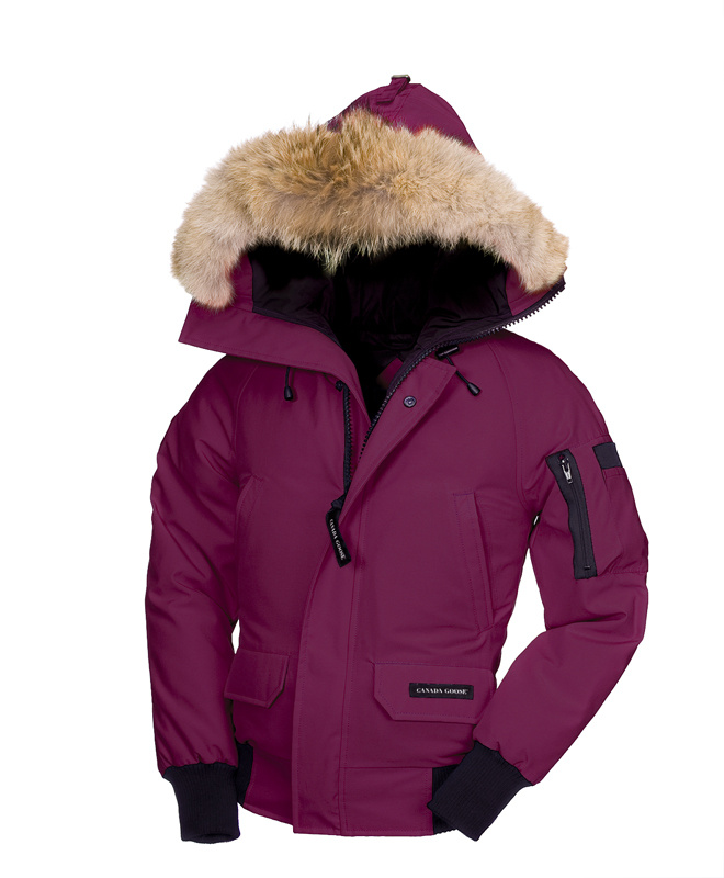 Canada Goose Chilliwack Bomber Berry Bambino